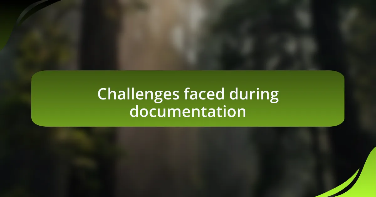 Challenges faced during documentation