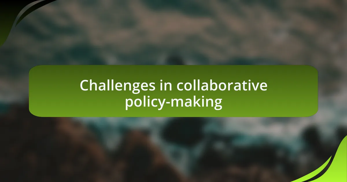 Challenges in collaborative policy-making