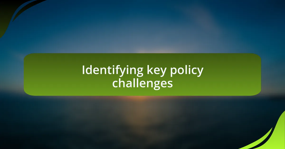 Identifying key policy challenges