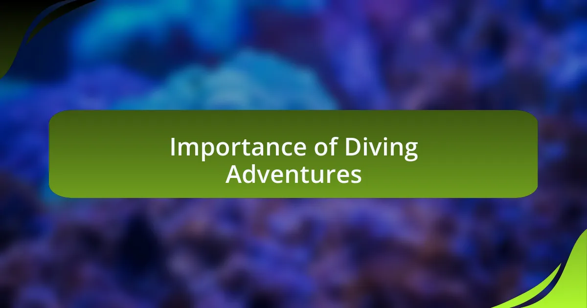 Importance of Diving Adventures