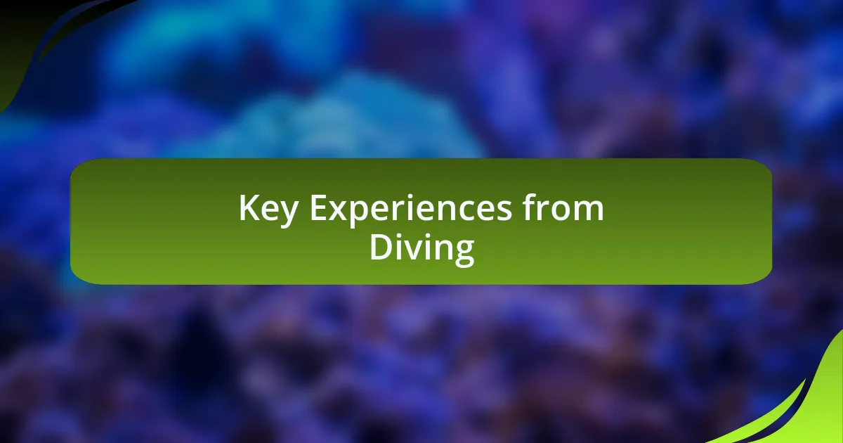 Key Experiences from Diving