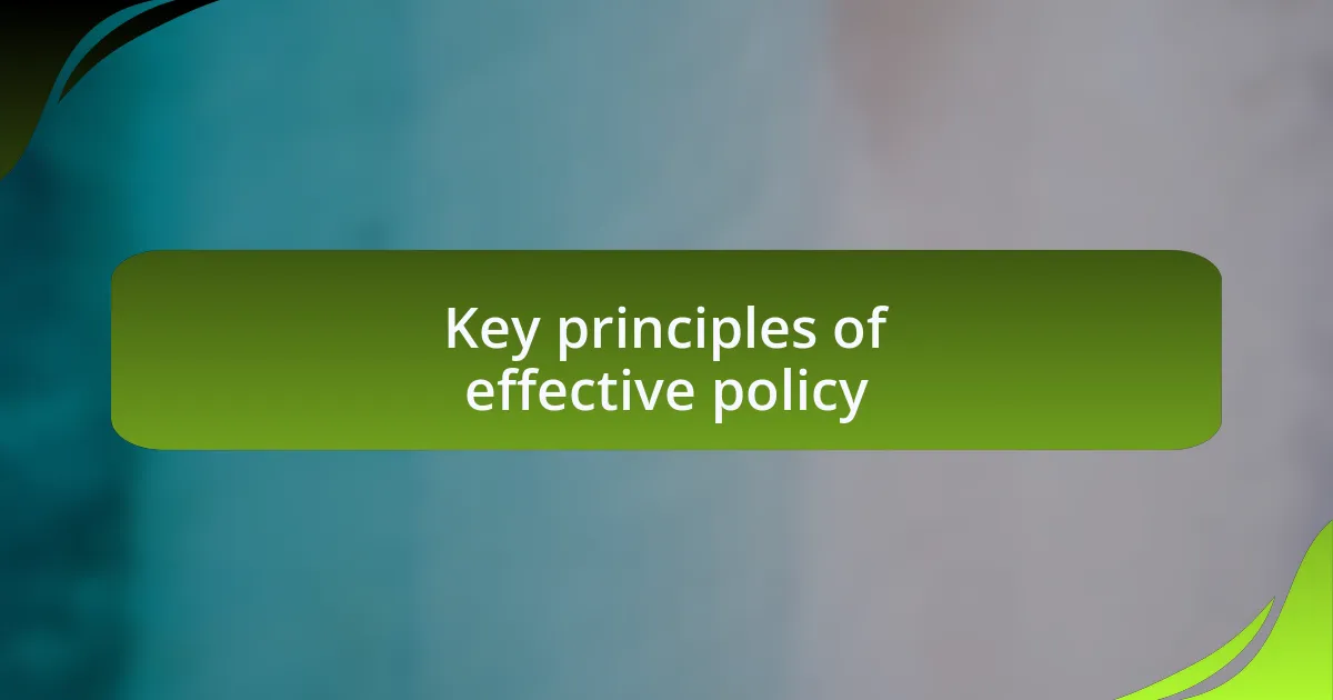 Key principles of effective policy