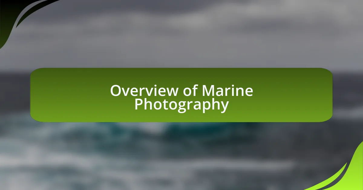 Overview of Marine Photography