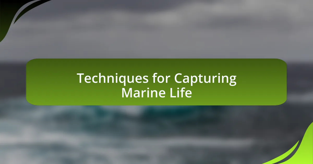 Techniques for Capturing Marine Life