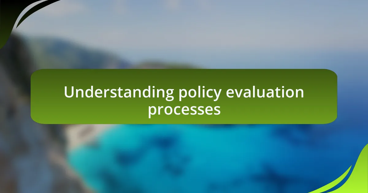 Understanding policy evaluation processes