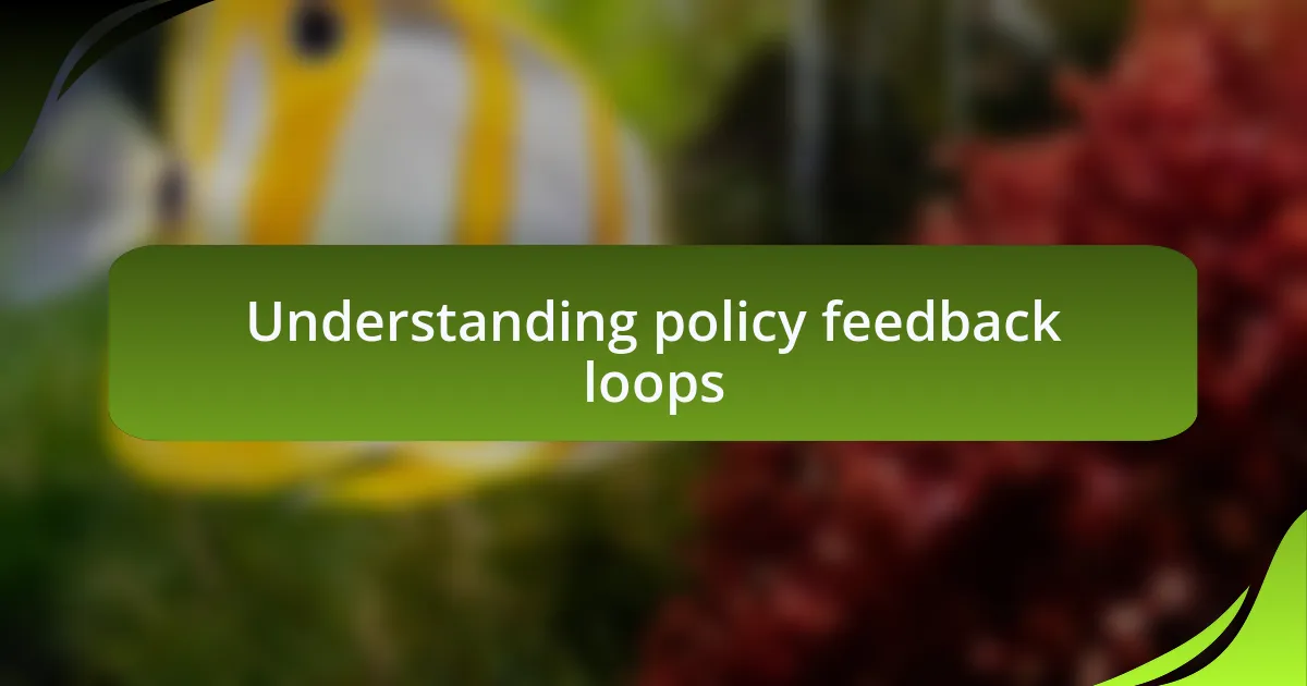 Understanding policy feedback loops
